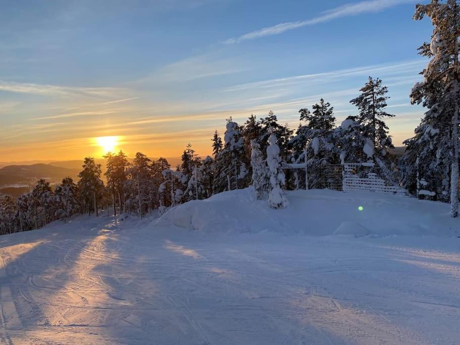 Modern Stuga Med Ski Lodge Kaensla Järvsö Eksteriør bilde